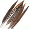 Natural Pheasant Feathers 4 Style 15-20cm 12pcs Natural Feathers for DIY Craft Home Party Decorations FF03